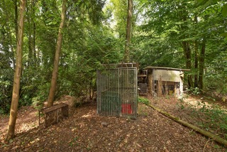 Diepenheim - Kagelinkbosweg 12